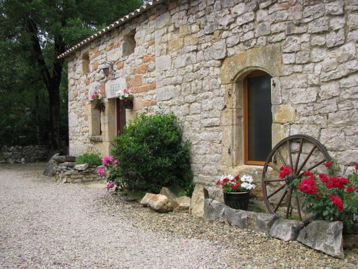 Domaine Audubert ξενώνας Saint-Antonin Εξωτερικό φωτογραφία